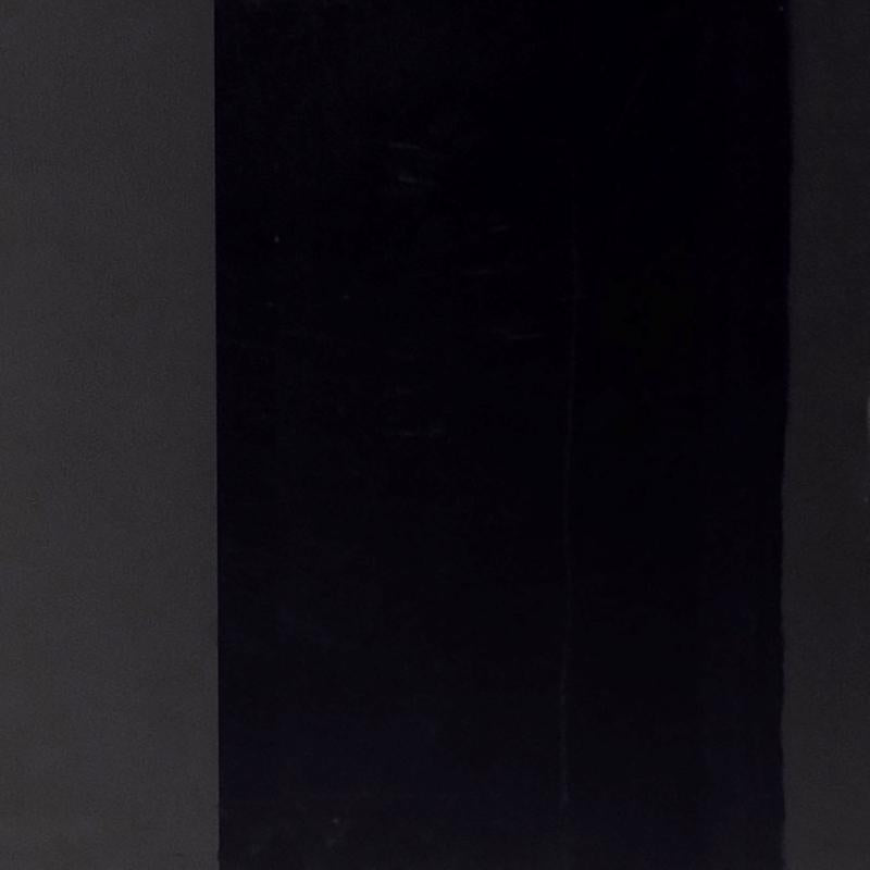 Rust-Oleum Imagine Smooth Chrome Black Spray Paint 10 oz, Pack of 4