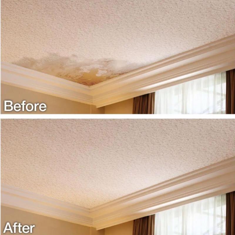 Homax Pro Match White Water-Based Wall and Ceiling Texture Paint 16 oz, Pack of 6