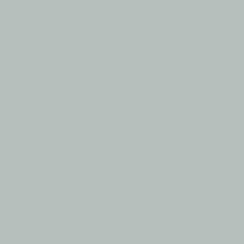 Samplize Benjamin Moore Beach Glass Peel & Stick Color Sample 1564, Pack of 8