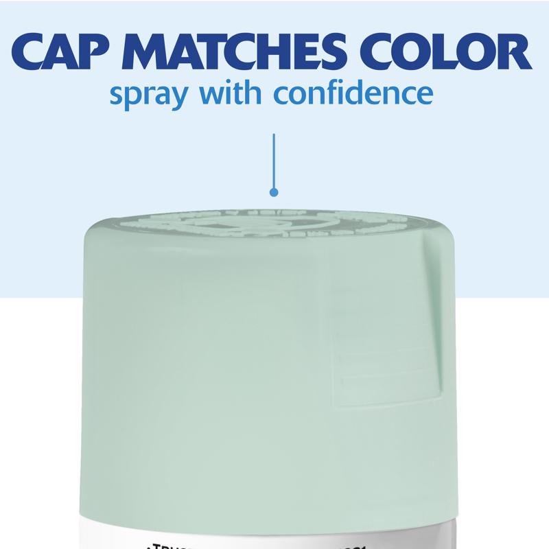 Rust-Oleum Painter's Touch 2X Ultra Cover Satin Renew Paint+Primer Spray Paint 12 oz, Pack of 6