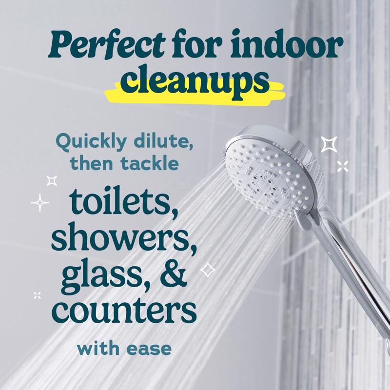 Worry Free Non-Scented Scent Concentrated All Purpose Cleaning Vinegar Liquid 1 gal, Pack of 4