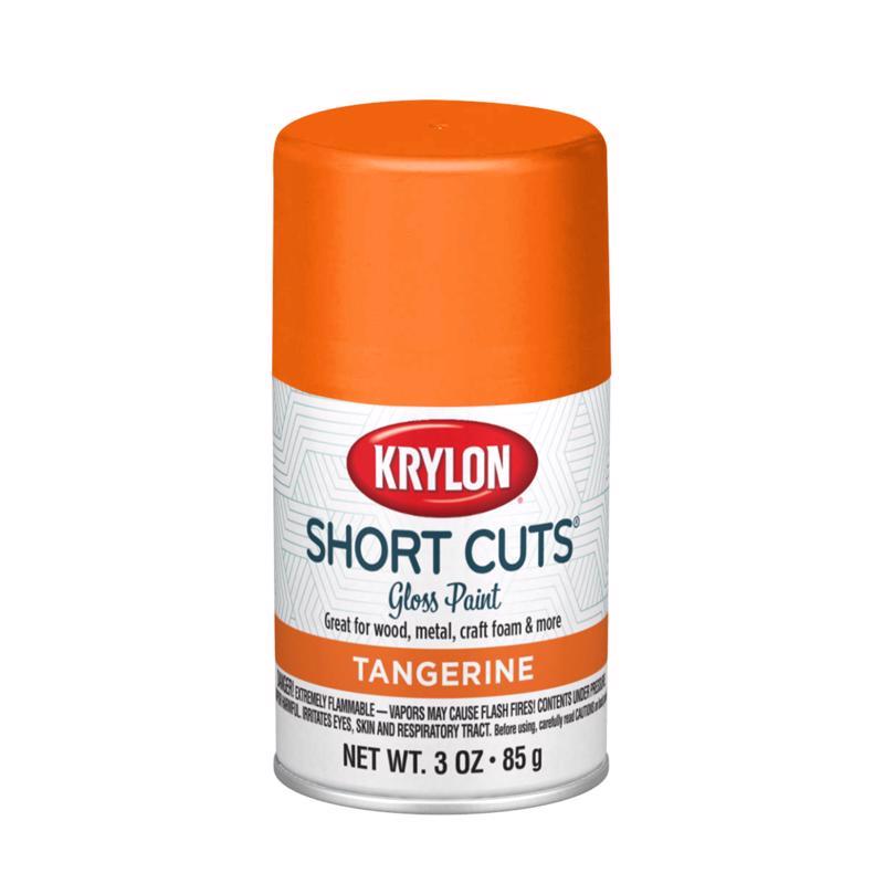 Krylon Short Cuts Gloss Tangerine Spray Paint 3 oz, Pack of 6