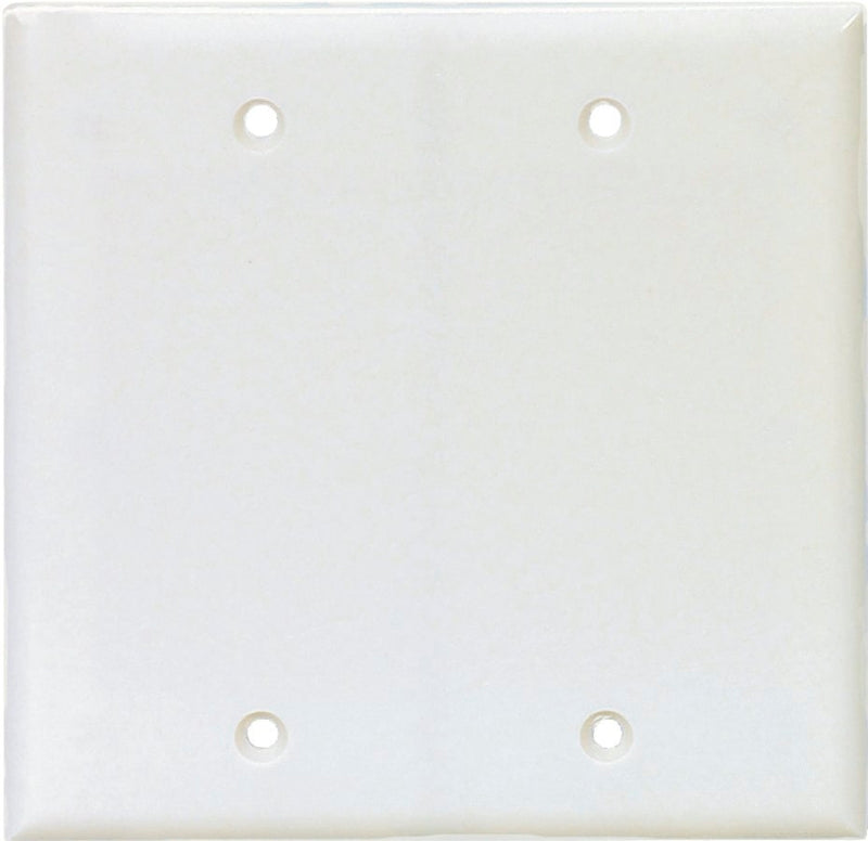 Eaton PJ23W Blank Wallplate, 8 in L, 1/4 in W, 2-Gang, Polycarbonate, White, High-Gloss, Box