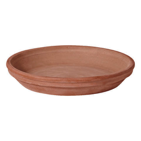 Deroma 1.6 in. H X 12.2 in. D Clay Rich Plant Saucer Chocolate, Pack of 8