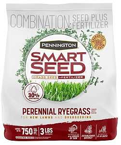 Pennington Smart Seed 100543717 Grass Seed, 3 lb Bag