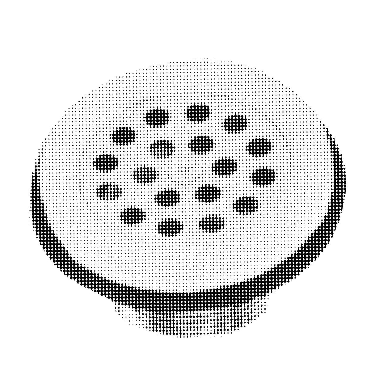 2 1/2IN SHOWER DRAIN