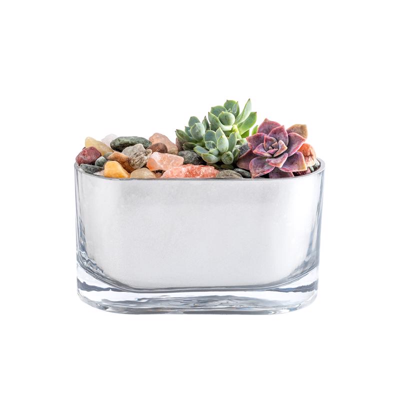 Krylon Looking Glass High-Gloss Silver Reflective Finish Spray 6 oz, Pack of 6