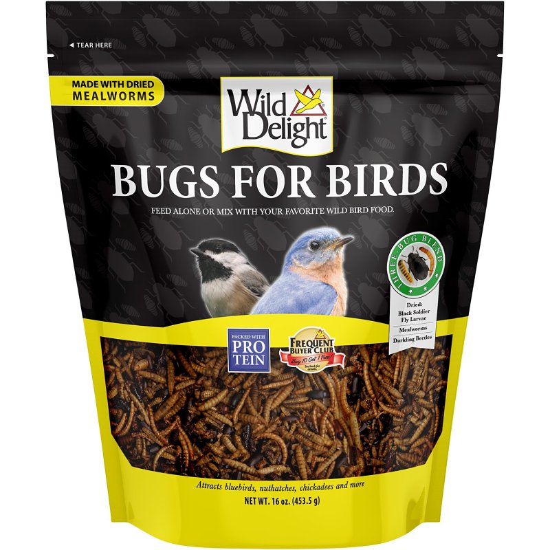 Wild Delight Bugs For Birds 367866 Dried Mealworms Wild Bird Food, 16 oz, Pouch