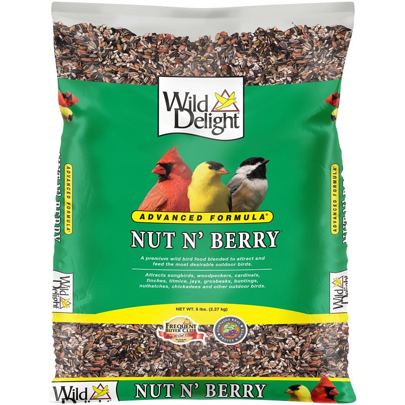 Wild Delight Nut N’ Berry 366050 Dried Raisins Wild Bird Food, 5 lb, Blended, Bag
