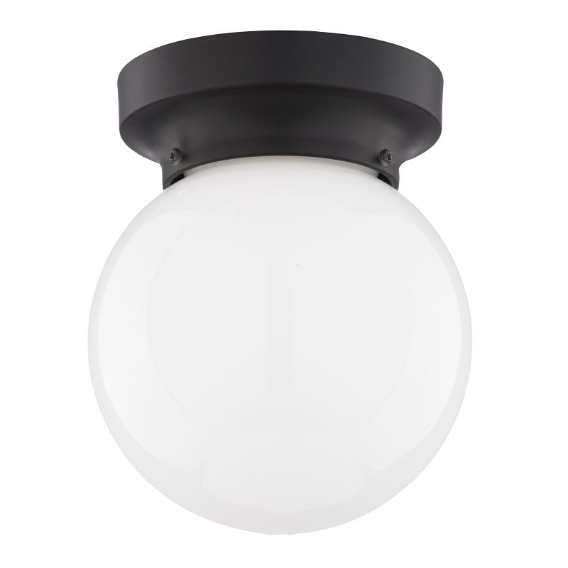 Boston Harbor OG24005 Ceiling Light, 1-Lamp, Matte Black Fixture