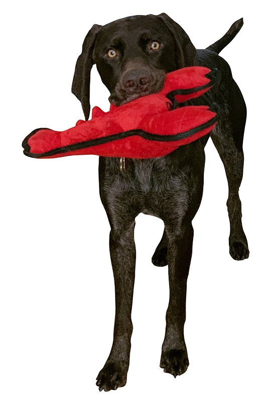 Pet Park Blvd US2021 14 12 Dog Toy, Small, Chew, Tuffimals Lobster