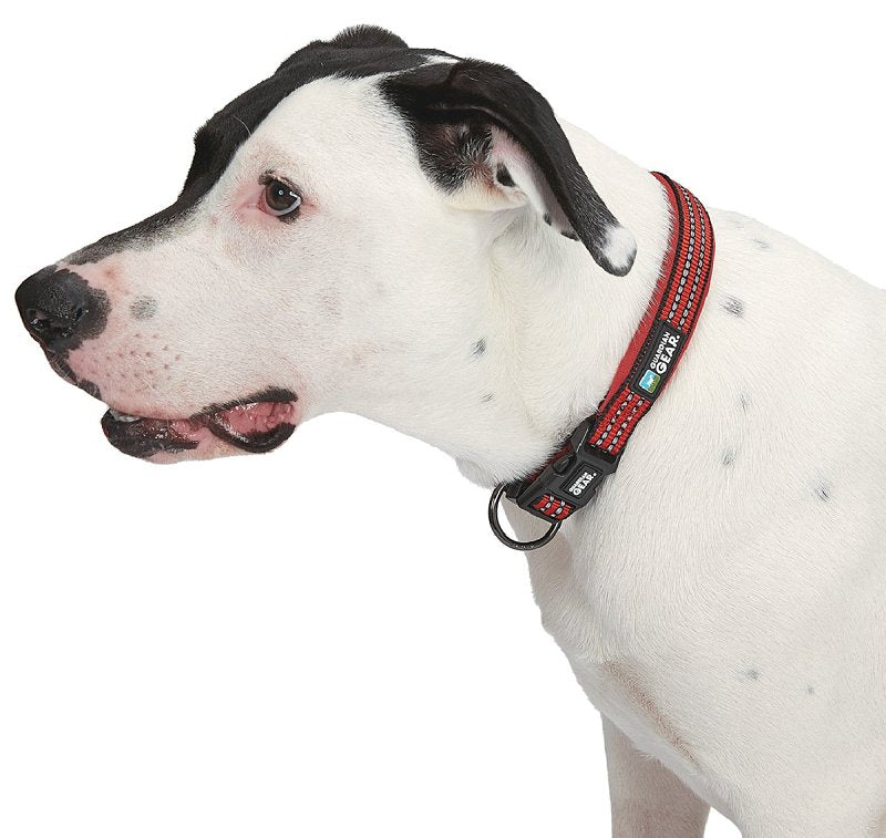Guardian Gear ZA0006 12 83 Dog Collar, O-Ring Link, 12 to 83 in L Collar, Nylon, True Red