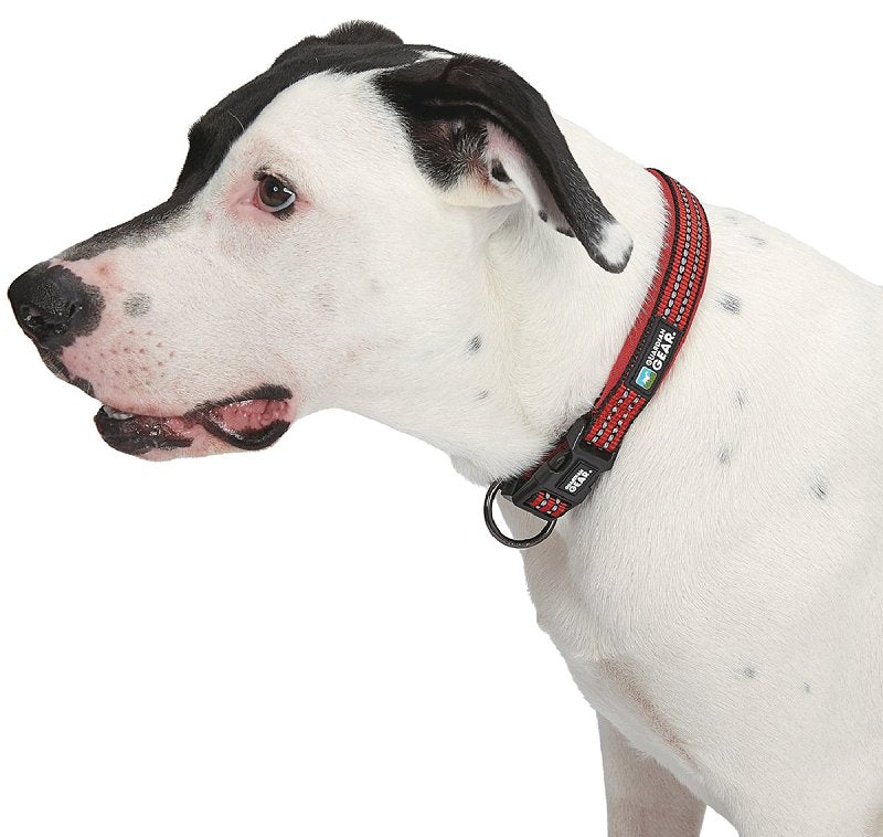 Guardian Gear ZA0006 16 83 Dog Collar, O-Ring Link, 16 to 83 in L Collar, Nylon, True Red