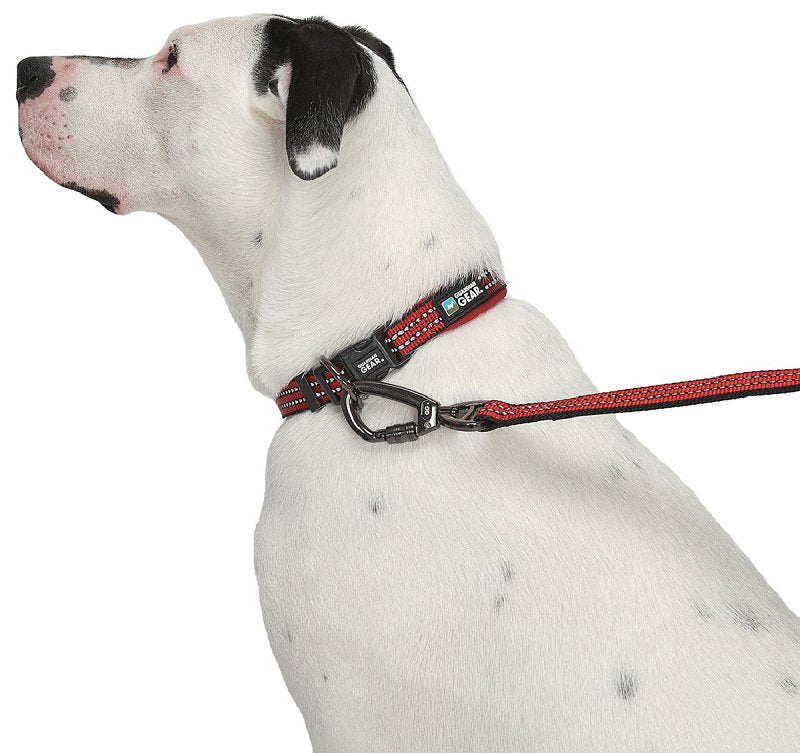 Guardian Gear ZA0006 16 83 Dog Collar, O-Ring Link, 16 to 83 in L Collar, Nylon, True Red