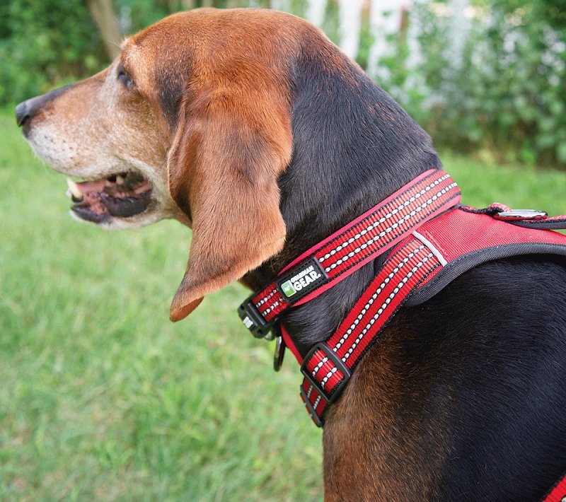 Guardian Gear ZA0006 16 83 Dog Collar, O-Ring Link, 16 to 83 in L Collar, Nylon, True Red