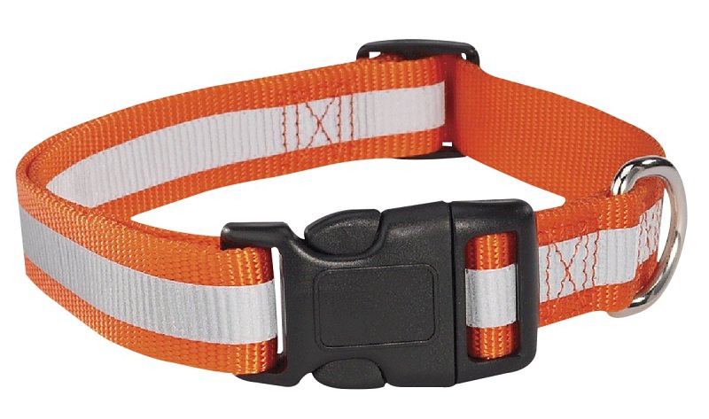 Guardian Gear ZA984 06 69 Dog Collar, 6 to 10 in L Collar, 3/8 in W Collar, Nylon, Orange