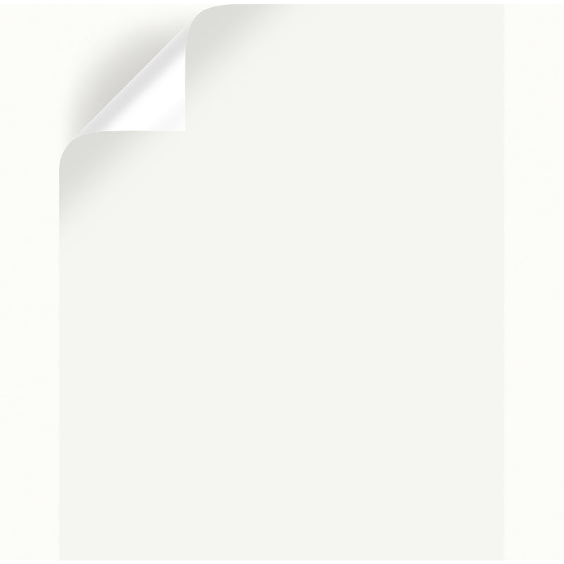 Magnolia Home by Joanna Gaines True White Peel & Stick Color Sample, Pack of 25