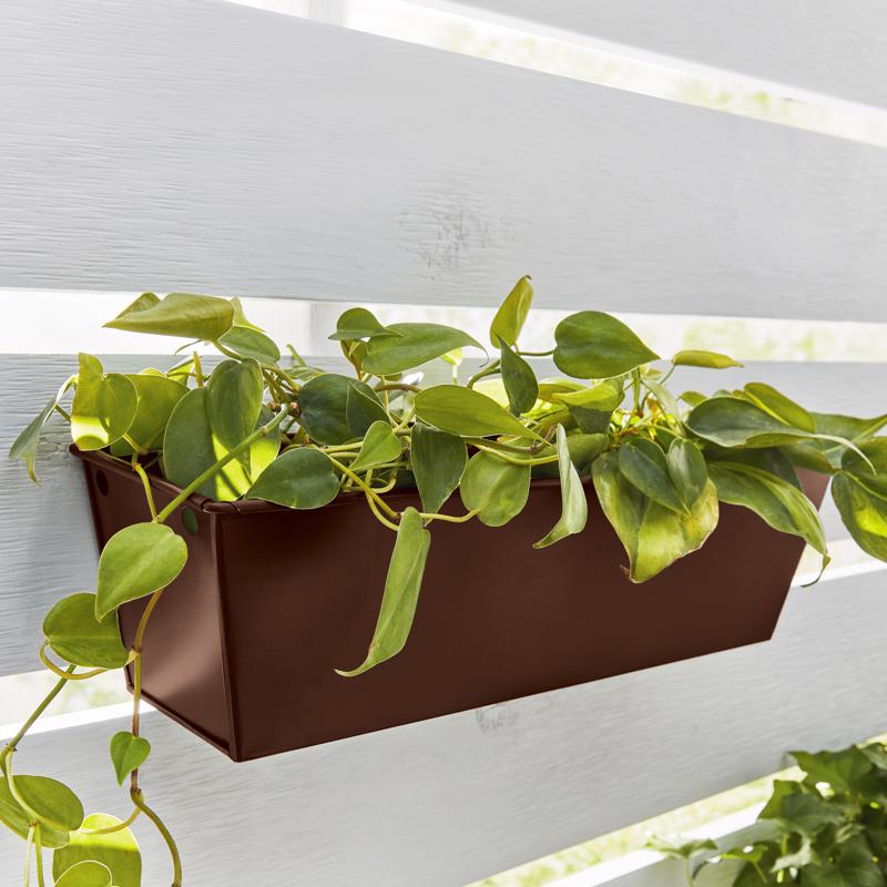 Krylon Fusion All-In-One Satin Espresso Paint+Primer Spray Paint 12 oz, Pack of 6