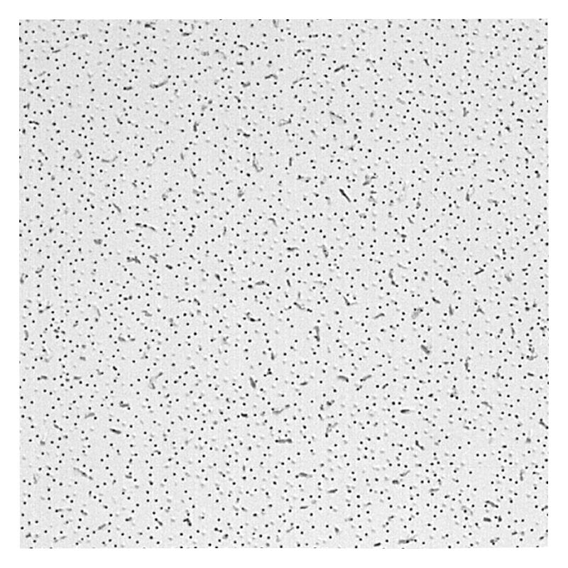 USG R2110 Corner Outside Mitre, 2 ft L, 2 ft W, Square Edge, Fiber, Beige, Drop Installation, 16 pk