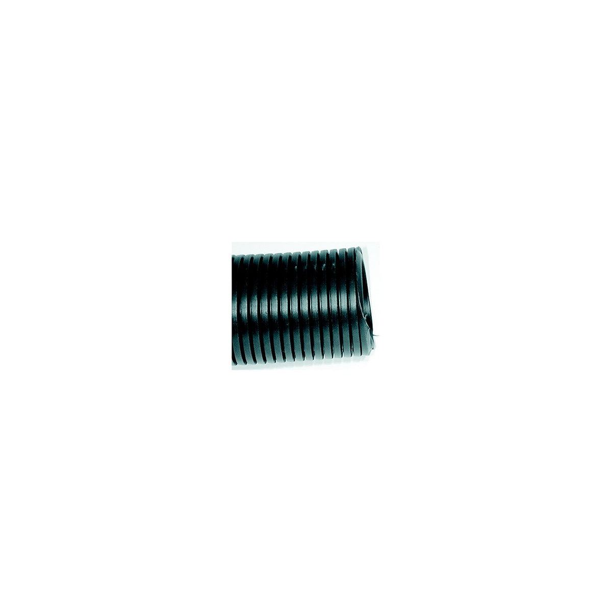 T-H Marine Rigging Hose 2″ x 50'