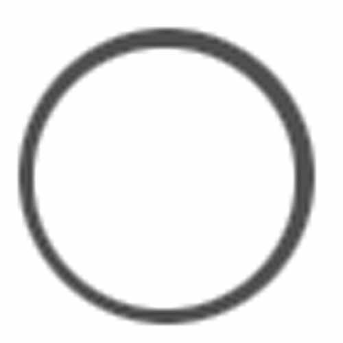O RING