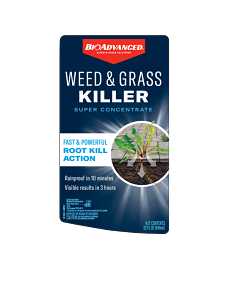 BioAdvanced 704195A Super Concentrated Weed and Grass Killer, Liquid, Blue, 32 oz Bottle