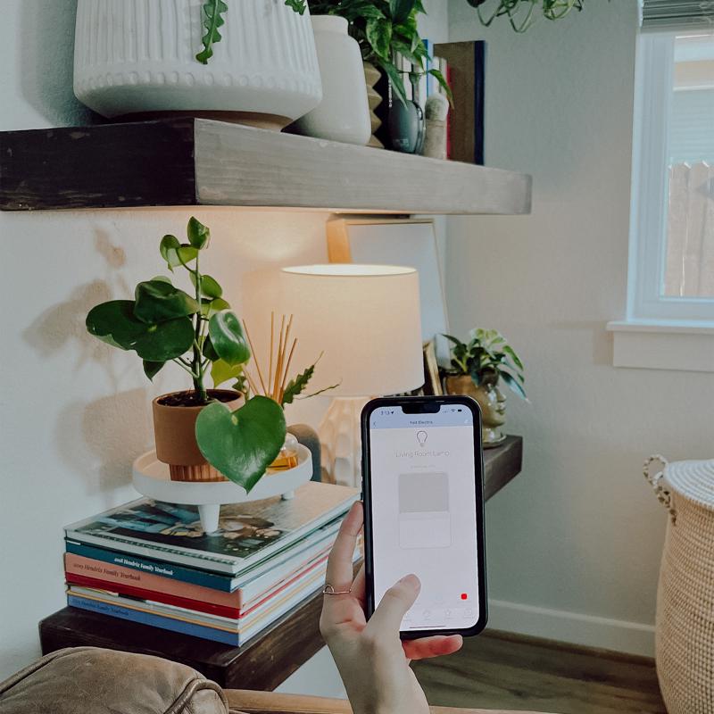 Feit Smart Home A21 E26 (Medium) Smart-Enabled LED Bulb Color Changing 100 Watt Equivalence 1 pk