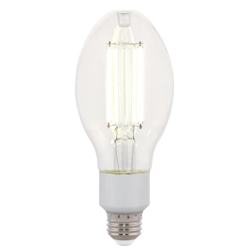 Westinghouse ED23.5 E26 (Medium) Filament LED Bulb Daylight 125 Watt Equivalence 1 pk