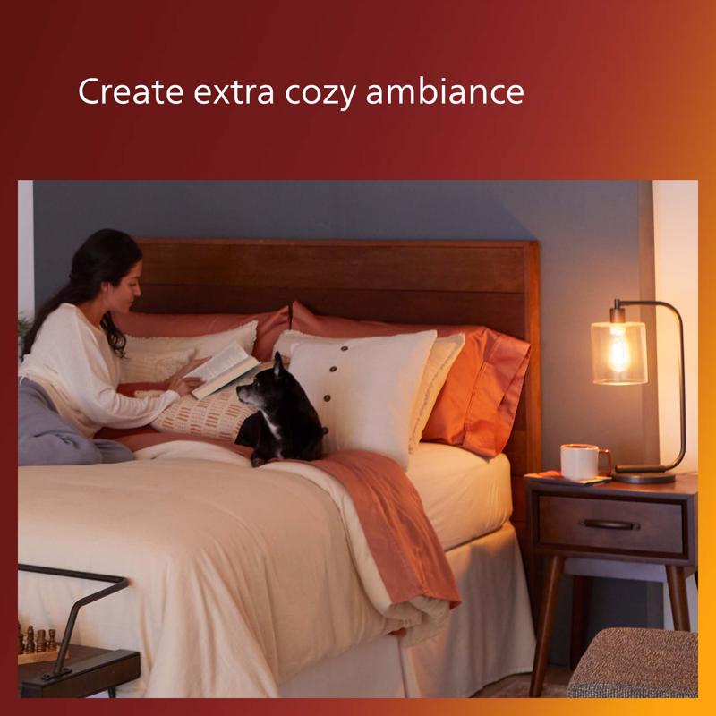 Philips B11 E12 (Candelabra) LED Bulb Amber 25 Watt Equivalence 2 pk