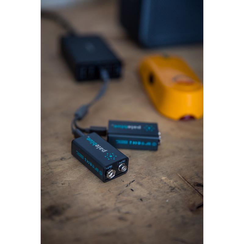 Pale Blue Earth 9-Volt Lithium Batteries 2 pk Clamshell