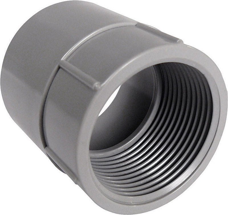 Cantex 3 in. D PVC Female Adapter For PVC 1 pk