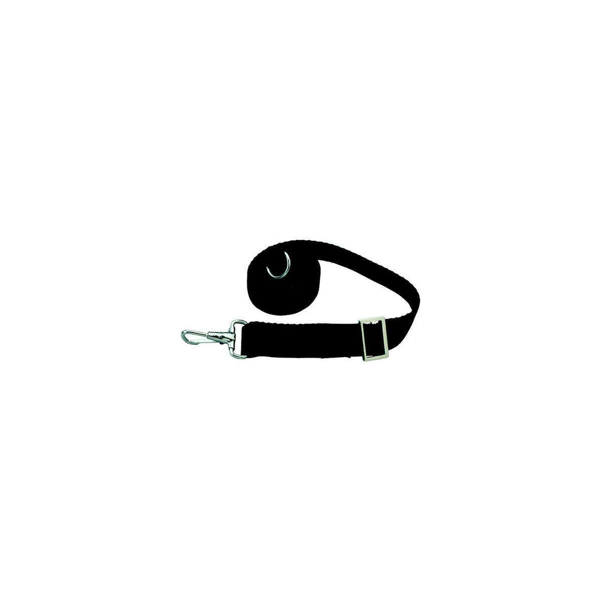 Taylor 11993 Adjustable Tie-Down Strap 6' Long With Stainless Steel Ring on One End and Snap on Other - Black, 2/pk