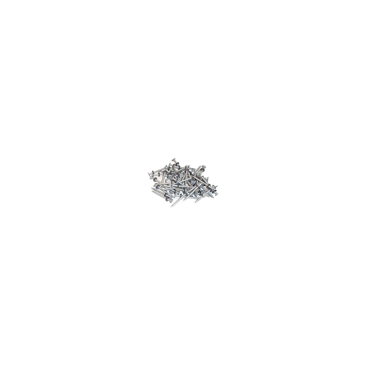 Taylor 96028 Galvanized #6 Nails w/Washers 1/8# 12/Cd