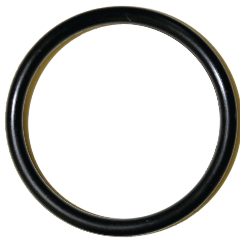 Danco 35778B Faucet O-ring, #64, 1-1/8 in ID x 1-5/16 in OD Dia, 3/32 in Thick, Rubber, Pack of 5