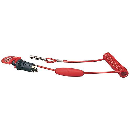 Replacement Lanyard