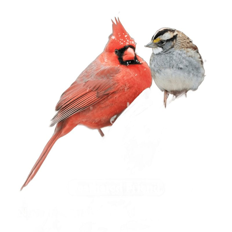 Feathered Friend Favorite Series 14423 Cracked Corn Favorite Blend, 40 lb, All-Purpose Bag