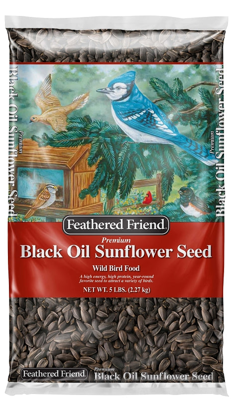 Feathered Friend 14416 Black Oil Sunflower Seed Wild Bird Food, Straight, Seed, 5 lb Bag