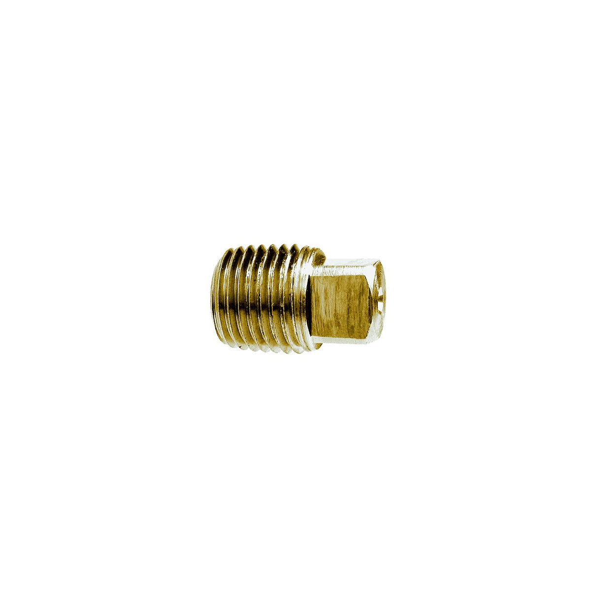 1/4 Brass Sq Head Pipe Plug