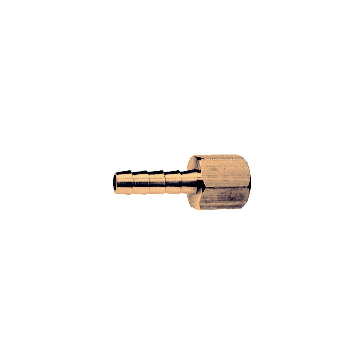 3/8″ Hose x 1/4 Pipe Female Hose Barb