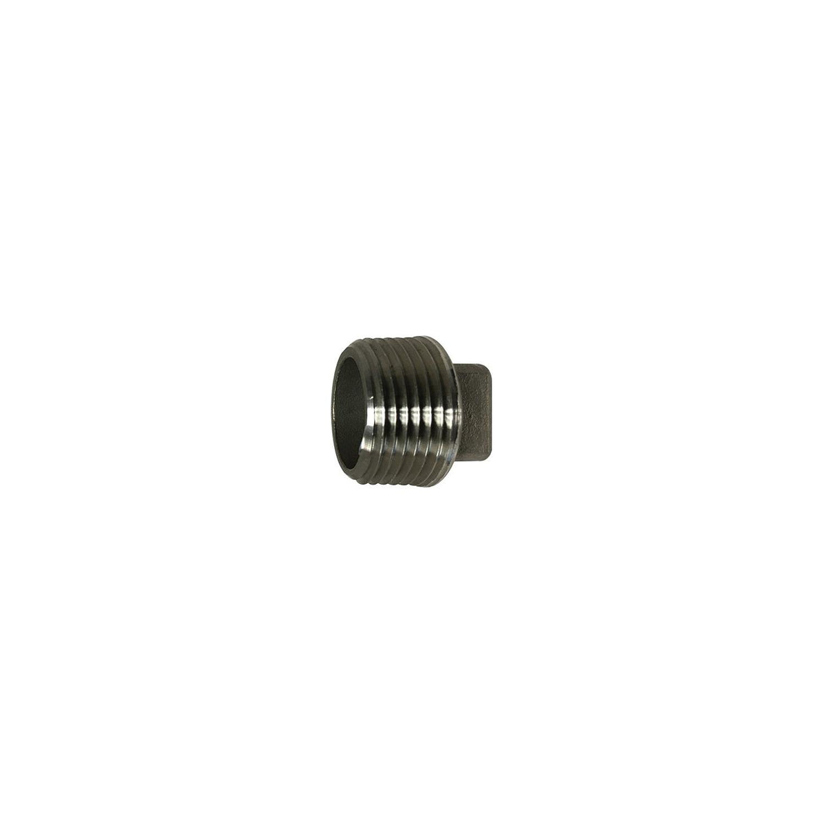 3/4 304 SOLID PLUG SS