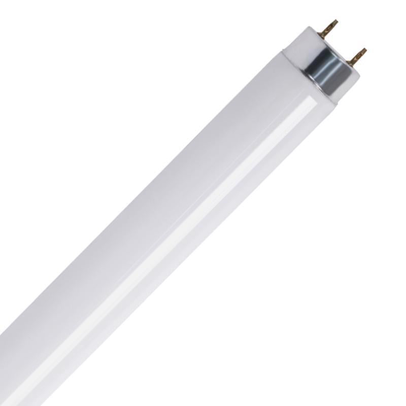 Feit Legacy Bulbs 30 W T8 1 in. D X 35.6 in. L Fluorescent Bulb Cool White Linear 4100 K 1 pk, Pack of 6