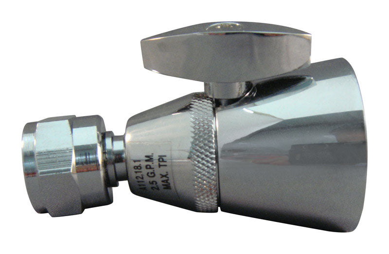 Ace Chrome Chrome 6 settings Showerhead 2.5 gpm