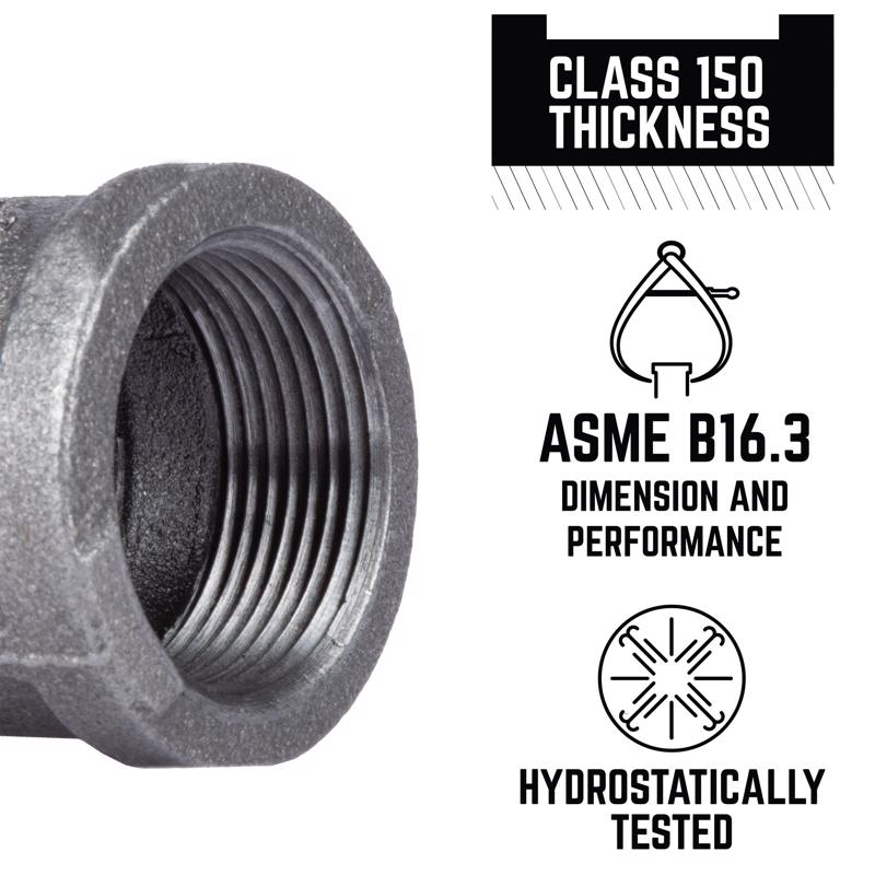 STZ Industries 1-1/4 in. FIP each X 1-1/4 in. D FIP Black Malleable Iron Coupling