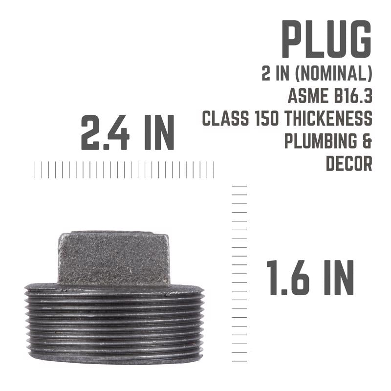 STZ Industries 2 in. MIP each Black Malleable Iron Plug