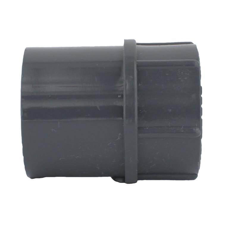 Charlotte Pipe Schedule 80 1/2 in. Slip X 1/2 in. D FPT PVC Adapter 1 pk