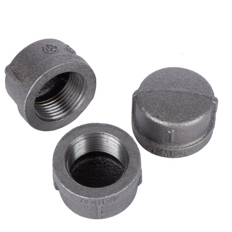 STZ Industries 1/4 in. FIP each Black Malleable Iron Cap