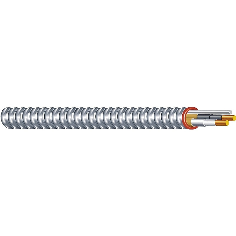 Southwire Duraclad 55274923 Armored Cable, 12 AWG Cable, 2-Conductor, 100 ft L, Copper Conductor, THHN/THWN Insulation