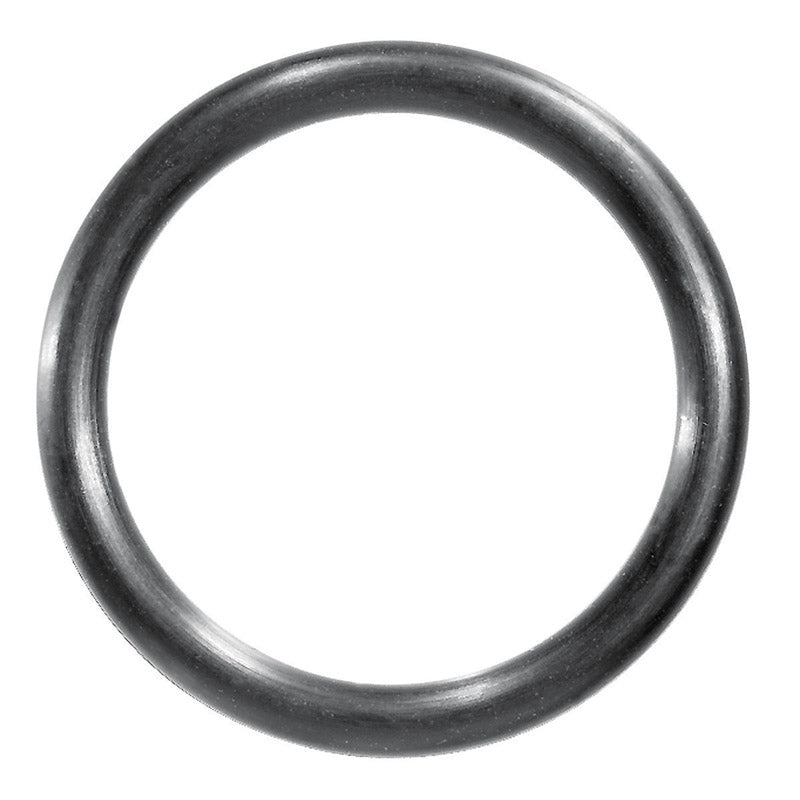 Danco 2 in. D X 1.62 in. D Rubber O-Ring 1 pk, Pack of 5