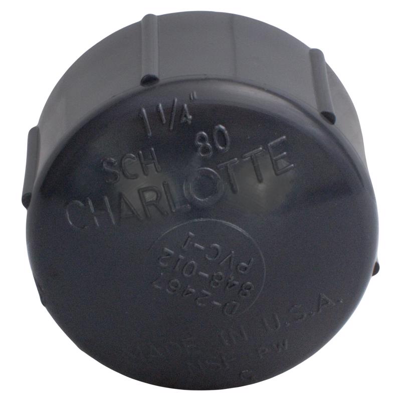 Charlotte Pipe Schedule 80 3/4 in. MPT X 3/4 in. D FPT PVC Threaded Cap 1 pk