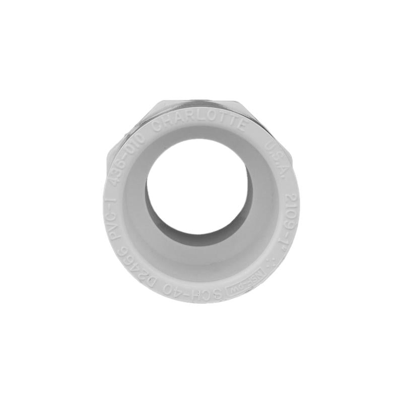 Charlotte Pipe Schedule 40 1 in. Slip X 1 in. D MPT PVC Pipe Adapter 1 pk, Pack of 25